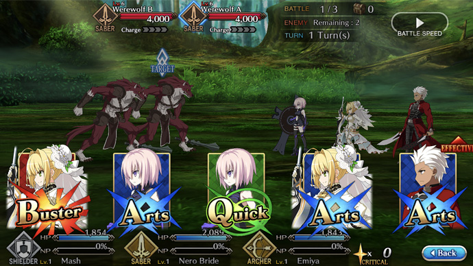 Fate/Grand Order, Software