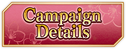 Campaign Details