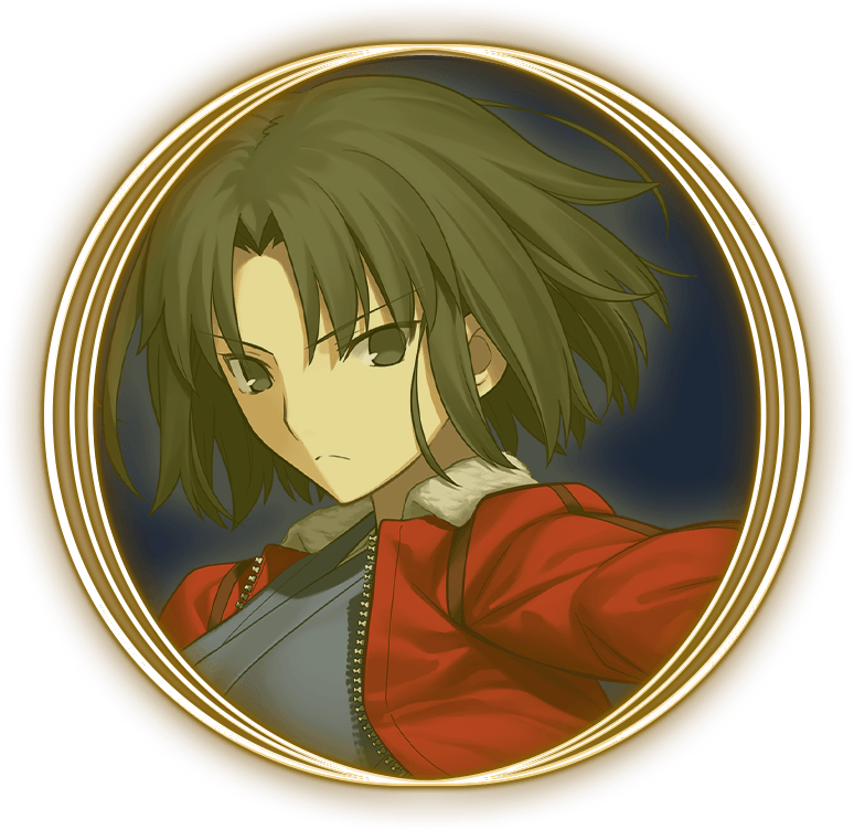 Ryougi Shiki (Assassin)