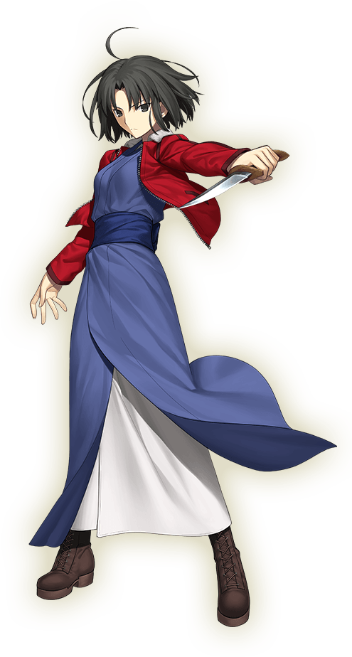 Ryougi Shiki (Assassin)